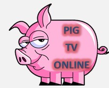 TV DE GRACA - ASSISTIR TV ONLINE GRATIS - VER TV ONLINE