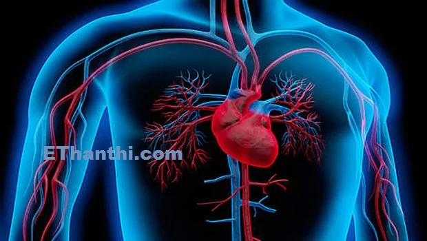 இதய ஆரோக்கியத்திற்கான முக்கிய காரணிகள்