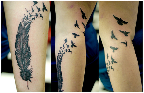 Feather Tattoos Pictures