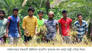 পাইকগাছার চাঁদখালী ইউনিয়ন ছাত্রলীগ কৃষকের ধান কেটে বাড়ী পৌছে দিলো