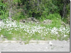 DSCN0473