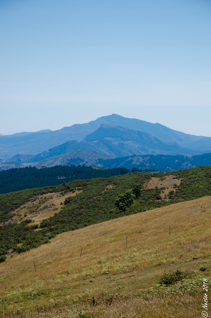 Santa Marina - La Rioja