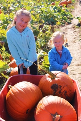 At the Pumpkin Patch in Snohomish.