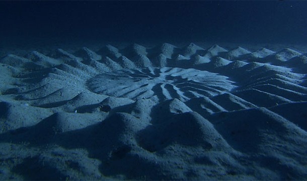 These 20 Unbelievable Pictures Might Look Like An Illusion But They Are Absolutely Real - Under-water Crop Circles