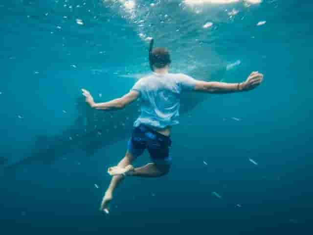 risk-behaviors-examples
