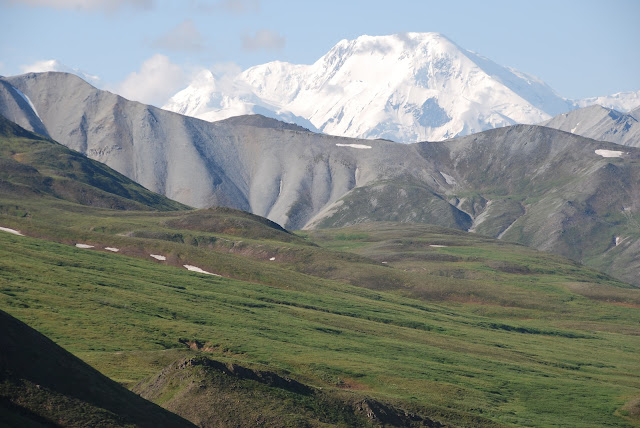 Denali National Park And Preserve