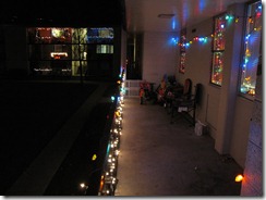 Christmas 2010 043