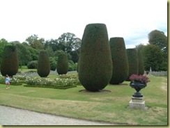 rose garden lanhydrock
