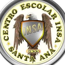 Logo insa