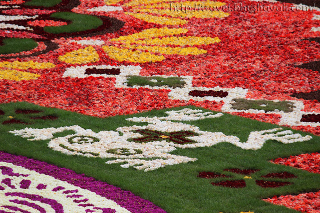 Brussels Flower Carpet Design 2018 Edition