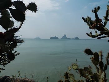 DSCF6873
