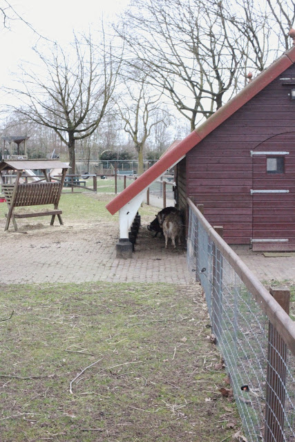 Zevenaar, 17 maart 2018. Canon EOS 1200D met Pentacon 3.5/30 (Made in G.D.R.). Foto: Robert van der Kroft