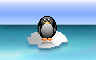 3D Cute Penguin wallpaper