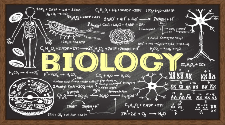 Mengenal Biologi, Ilmu Pengetahuan yang Mempelajari Kehidupan