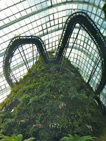 Cloud Forest View at Gardens by the Bay Singapore