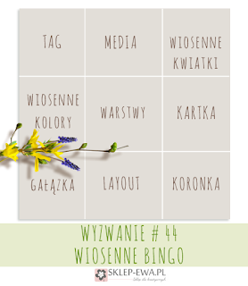 http://blog-sklep-ewa.blogspot.com/2016/03/wyzwanie-44-wiosenne-bingo.html