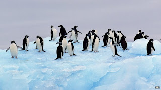 No deal on huge Antarctic marine reserves