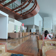 Dubai Airport Lounge (img )