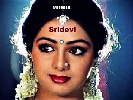 Why Google celebrated for Sridevi-The Indian Film debut-Her Born, Education, Career and Achievement in Indian Film Industry.