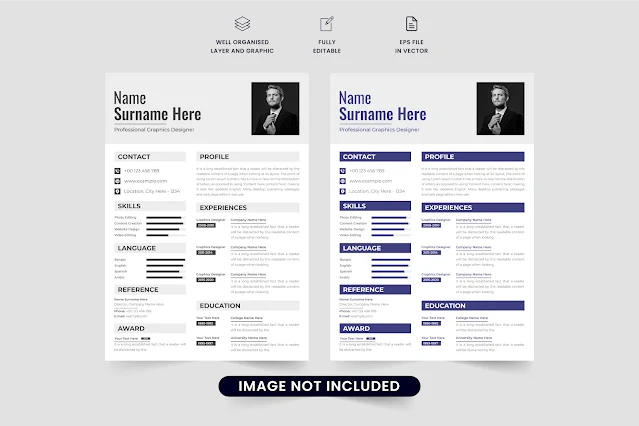 Professional CV and resume template free download