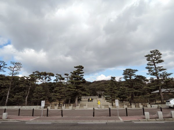 DSCN3451