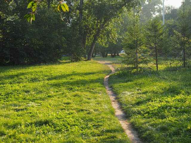 Новосибирск, Нарымский сквер - лето