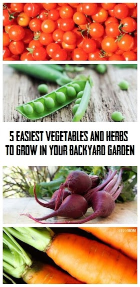 Easiest vegetables and herbs to grow in your backyard garden