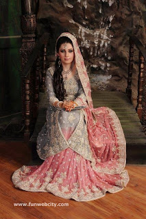 Pakistani Wedding Dresses 2013 Indian Bridal Wear