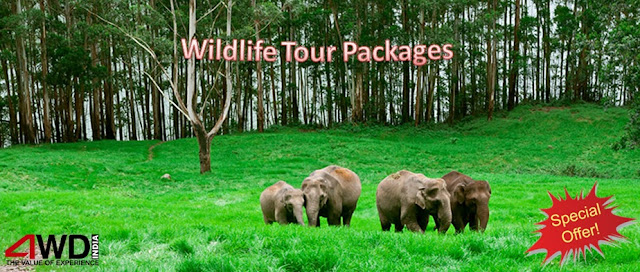 wildlife tour packages india