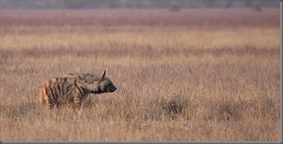 _MG_9641-Edit