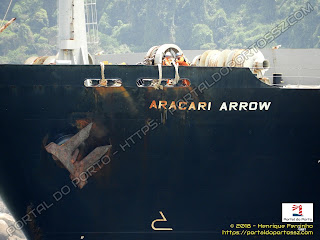 Aracari Arrow