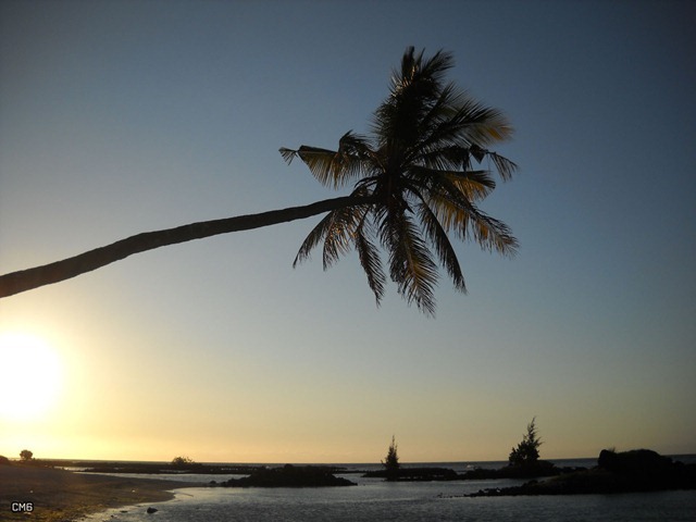 DSCN7187_2