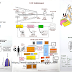 BIOMEDICAL TECHNOLOGY / MICROBIOLOGY CHARTS