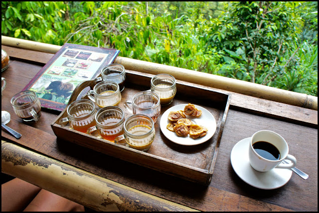 Kopi Luwak