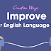 8 ways to improve your English language skills