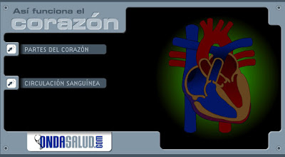http://www3.gobiernodecanarias.org/medusa/contenidosdigitales/programasflash/Conocimiento/Cuerpo/Partes/corazon1.swf