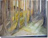 Picture2