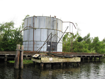 New Orleans Bayou