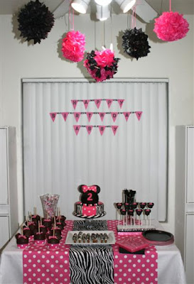 Winter Birthday Party Ideas on Minnie Mouse Zebra Party Supplies