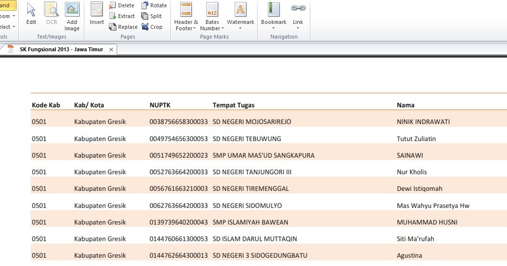 Daftar SK Tunjangan Fungsional Prop. Jawa Timur 2013 