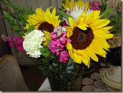 sunflowers