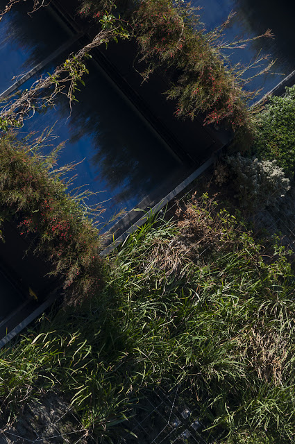 Ateliers Jean Nouvel, ajn, Patrick blanc, vertical garden, abstract, abstraction, abstractional, amazing, architecture, architects, Australia, Australian, detail, moss, ferns, vines, hanging garden, vertical garden, wall,  i now know what it is like to live in a jukebox, Lyons, Lyons architecture, Melbourne, metal, minimalist, modern, new, new horizon, postmodern, post-modern, postmodernist, stunning, the light monkey collective, Tim Macauley, wow, 2014, garden in the sky, Sydney, hydroponic, cladding, eco-system, garden tower, tower, one central park, award winning, mirrors, sky garden, green wall 