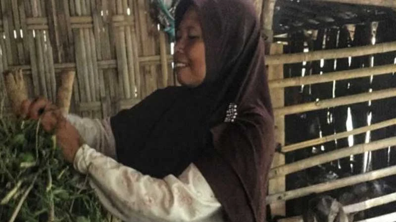 Guru Honorer SD Tinggal Serumah dengan Kambing Gajinya Rp 350 Ribu