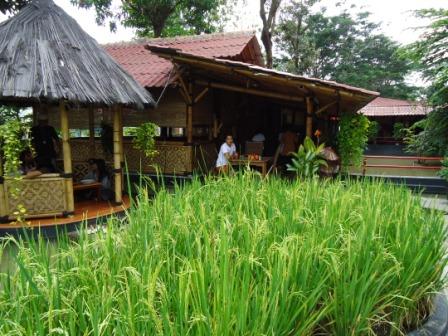 Resto Wulan Sari 2 Tambun Bekasi Makan di Pinggir Sawah 