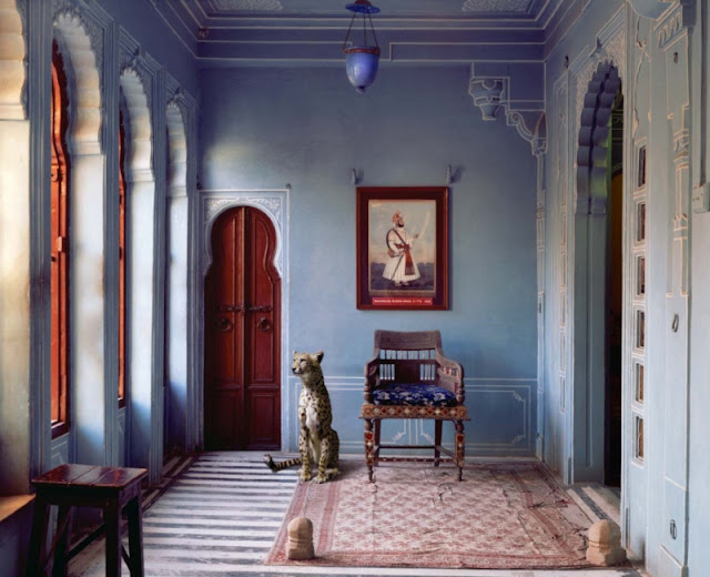 Karen Knorr photography - Animals interior design - old time palace 