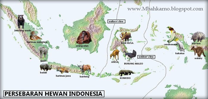 Persebaran Fauna  di Indonesia Mbah Karno