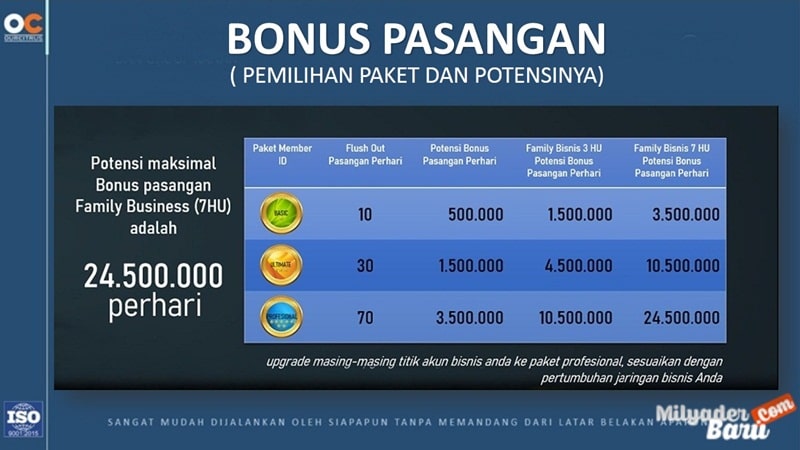 marketing plan ourcitrus