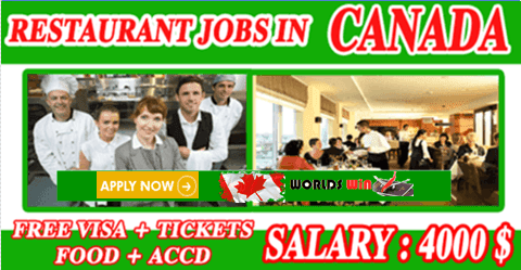 Cook   Head cook   Waiter Canada Immigration and Visa Jobs Head waiter  Plumber   Dishwasher    Kitchen helper  and many other category                               immigrated and worked in voluntary organizations without costs  Vacancies in Restaurants at canada  Benefits: