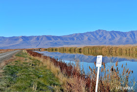 Bear River Migratory Bird Refuge 