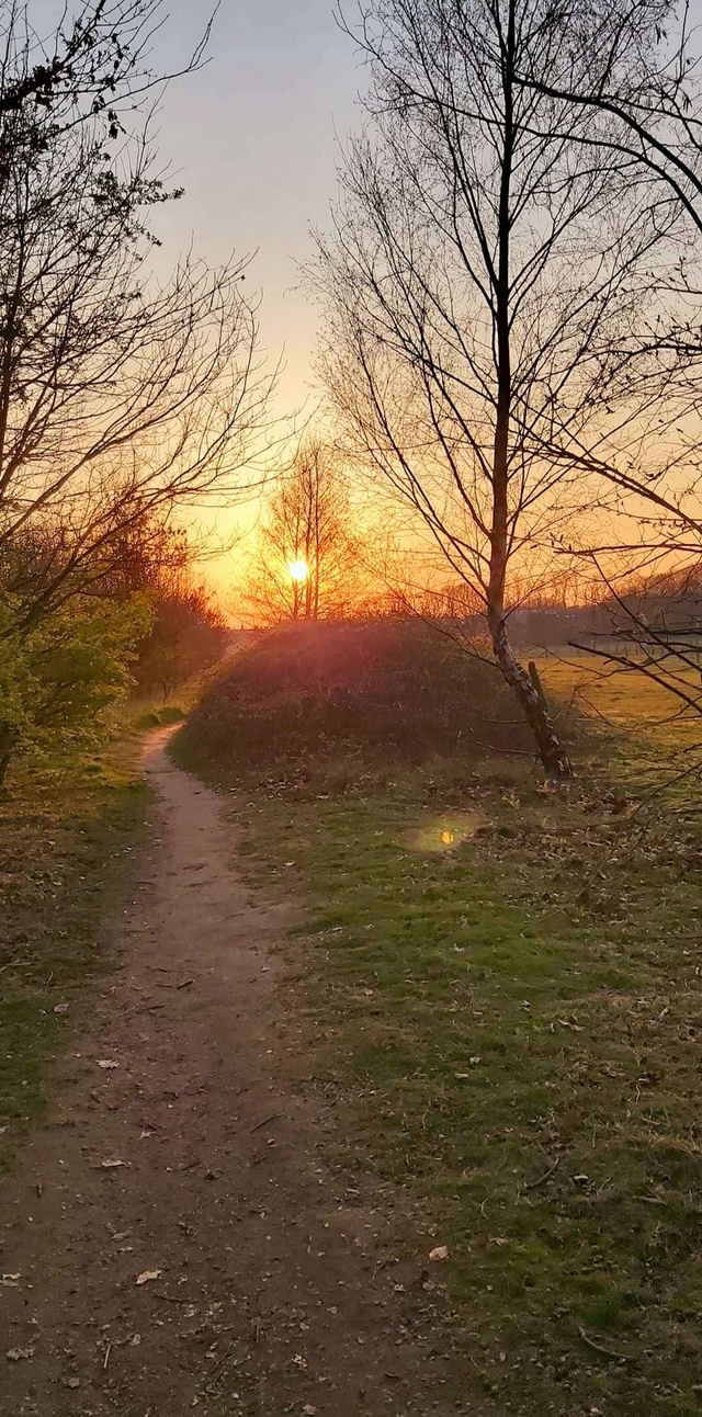 wandelingen in Ertbruggebos